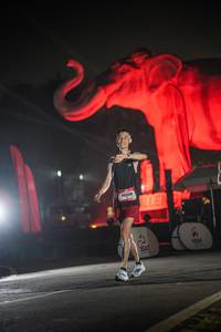 BIB: 
                            <button type="button" onclick="openModal(26531076)" class="btn btn-primary btn-sm float-right btn-popup" data-toggle="modal" data-target=".modal-high-quality">
                        <i class="fas fa-shopping-cart"></i> Add to Cart
                    </button>
                                            <button type="button" onclick="isThisMe(26531076, true)" class="btn btn-success btn-sm float-right btn-popup btn-isme hidden" data-toggle="tooltip" data-placement="bottom" title="นี่คือรูปของคุณใช่ไหม คลิกที่นี่เพื่อเอาเข้าอัลบั้ม">
                        <i class="fas fa-plus"></i> Add to album
                    </button>
                    <button type="button" onclick="isThisMe(26531076, false)" class="btn btn-warning btn-sm float-right btn-popup btn-isnotme hidden">
                        <i class="fas fa-ban"></i> Remove from album
                    </button>